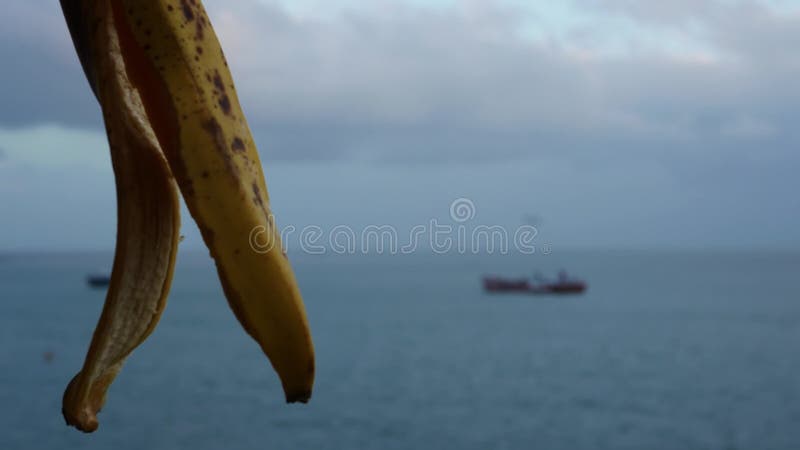 Buccia di banana che sorge sulla bordata di frutta di mare della nave