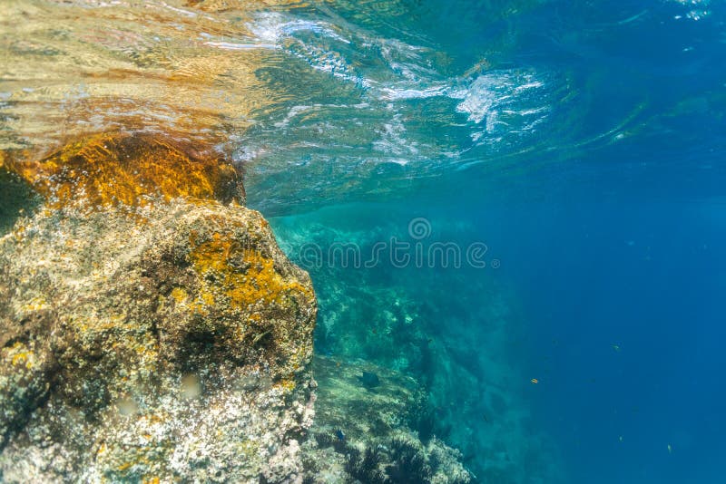 A view underwater at Pelican Rock in Cabo San Lucas in Baja California Sur in Mexico. . A view underwater at Pelican Rock in Cabo San Lucas in Baja California Sur in Mexico.