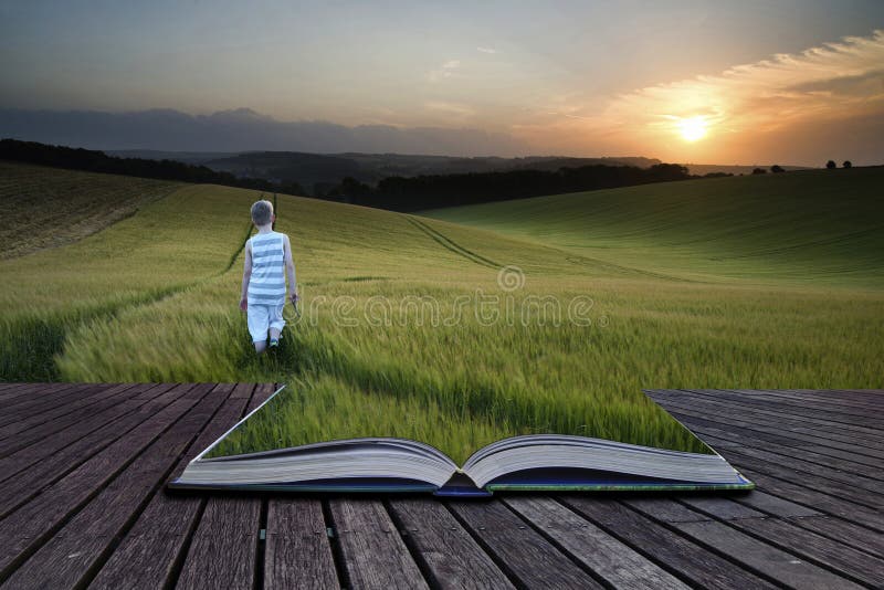 Buchen Sie den Konzept Konzept-Landschaftsjungen, der durch Feld a geht lizenzfreies stockfoto Buchen Sie den Konzept Konzept-Landschaftsjungen, der durch Feld a geht lizenzfreies stockfoto