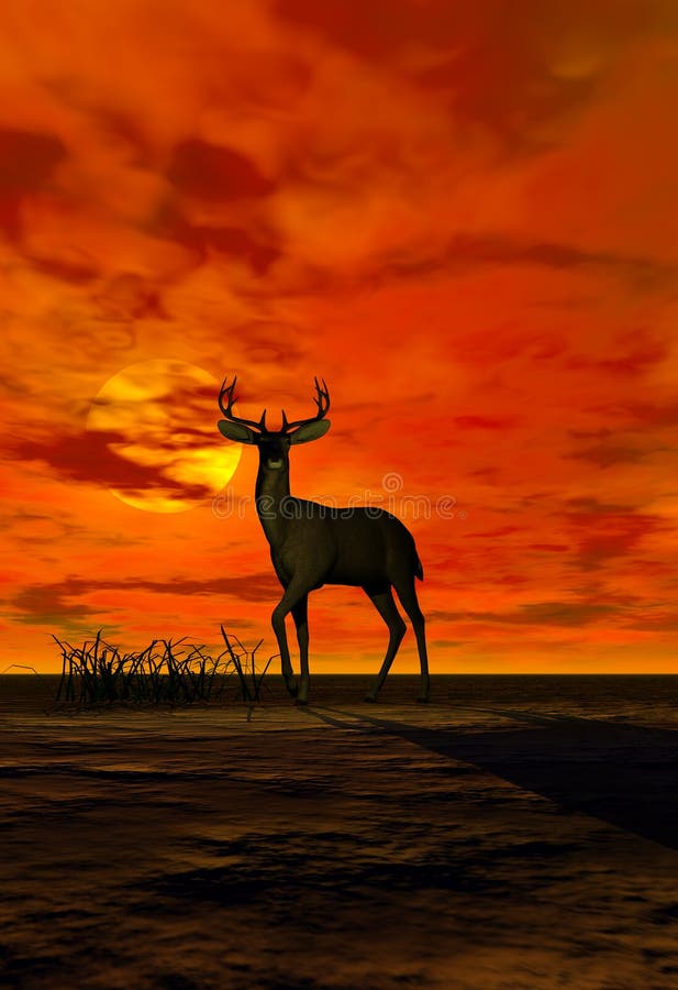 Whitetail Deer Buck Sunset Stock Illustrations – 18 Whitetail Deer Buck  Sunset Stock Illustrations, Vectors & Clipart - Dreamstime