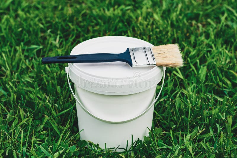 Bucket of Paint and Brush on the Green Lawn Grass Stock Photo Image