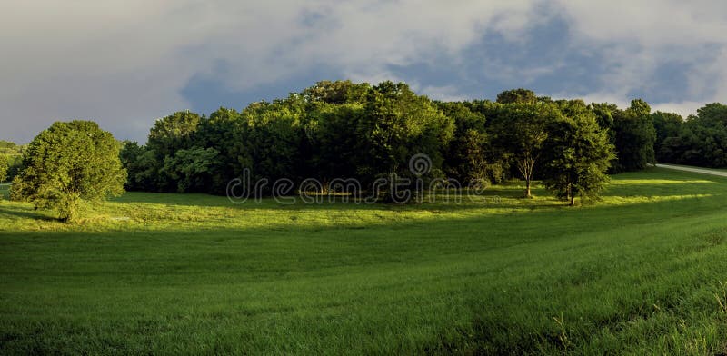 Buckhorn bend Rd. at sunrise is a grade-separated road junction which require large areas of land. This creates a beautiful park-like space. Lush landscapes along the sides every grade-separated junction