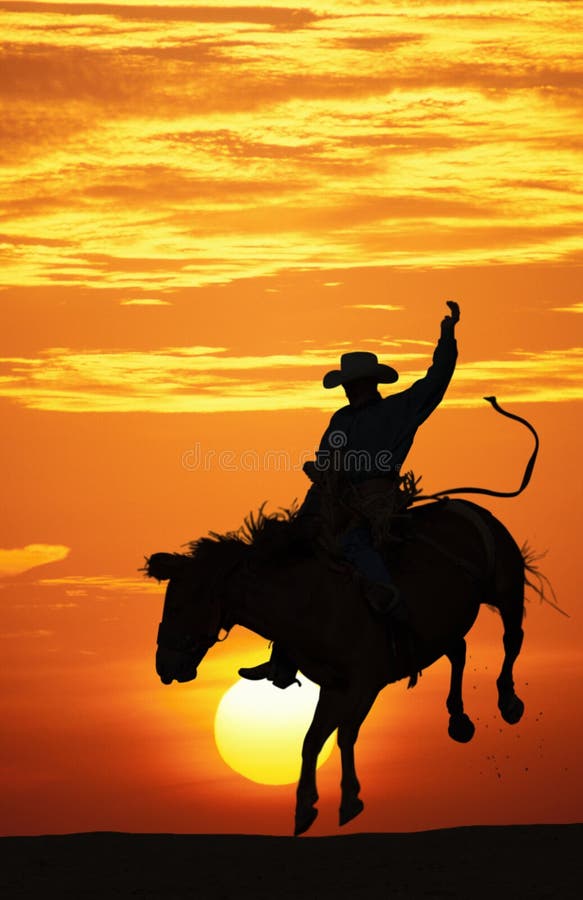 Sillouette of a cowboy riding a bucking horse at sunset. Sillouette of a cowboy riding a bucking horse at sunset.