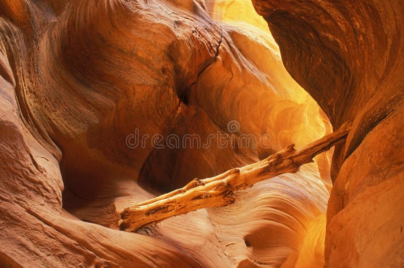 Buckskin Gulch Slot Canyon