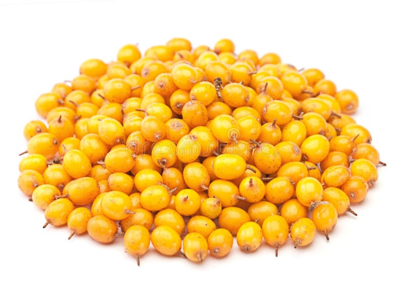 Buckthorn yellow berry stock photo. Image of closeup 16480920