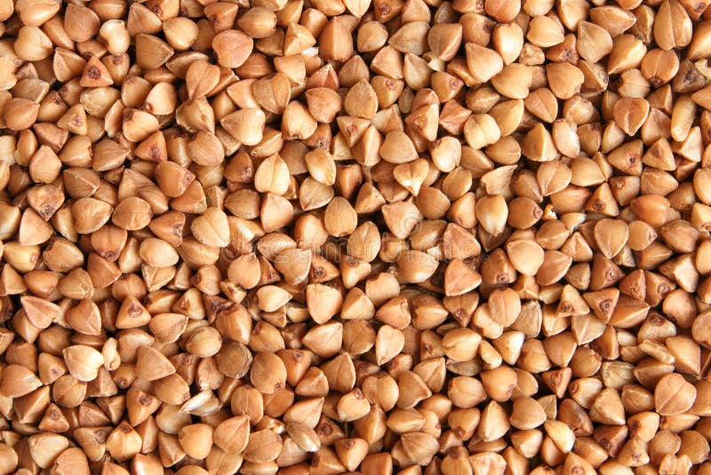 Buckwheat stock photo. Image of backdrop, calories, crop - 13218656