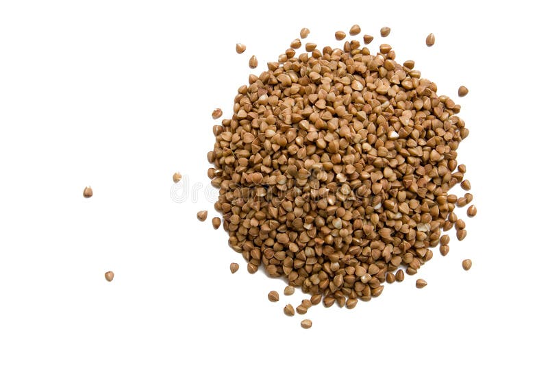 Buckwheat tree stock photo. Image of tree, seed, brown 6258396