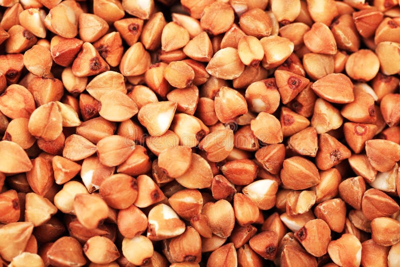 Buckwheat royalty free stock image