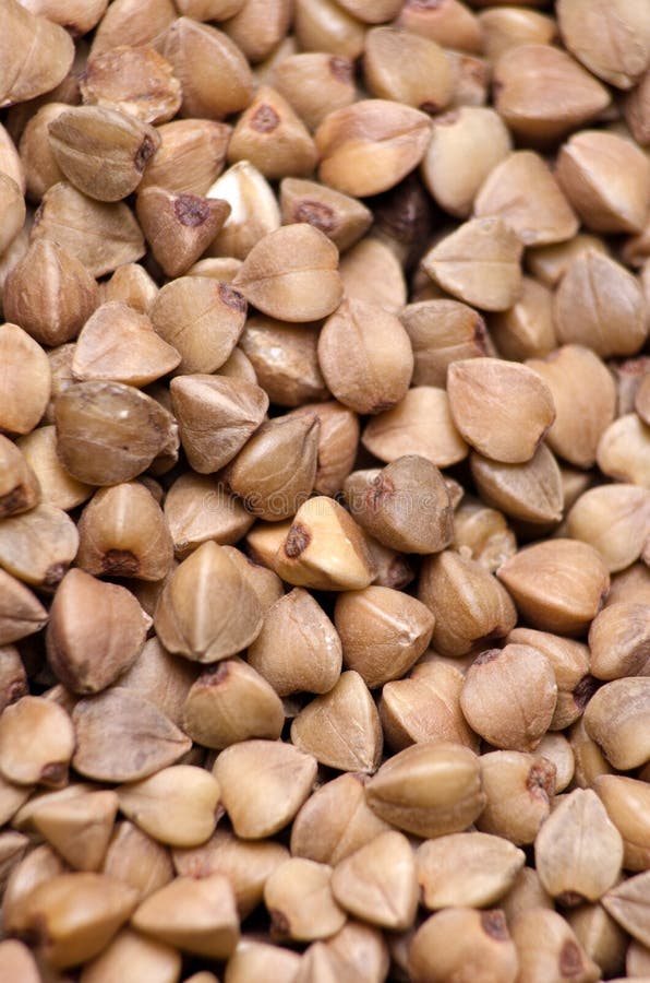Buckwheat stock photo. Image of diet, buckwheat, textured 23916206