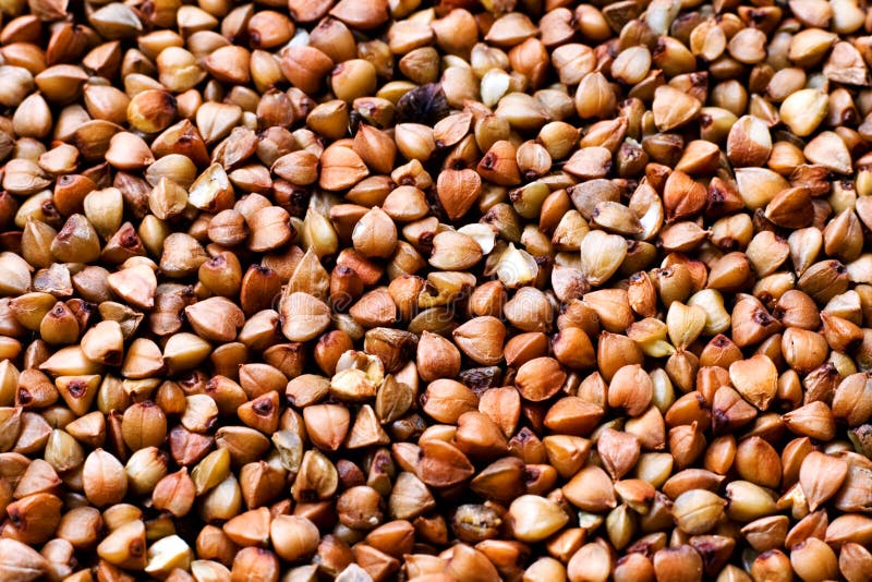 Buckwheat stock image. Image of cereals, breakfast, corn 4537493