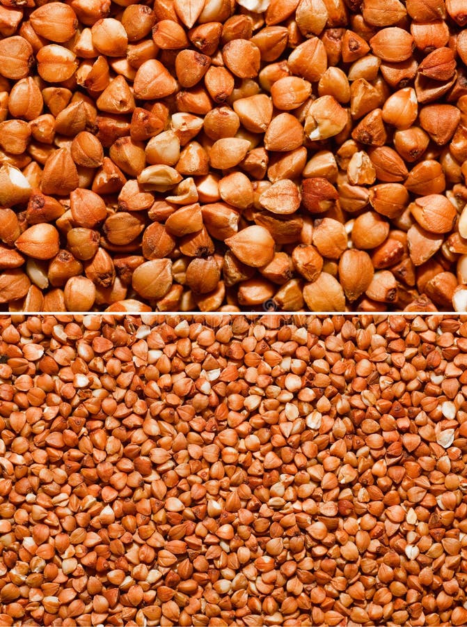 Kiwi Juice stock photo. Image of sweet, juice, closeup 17628840