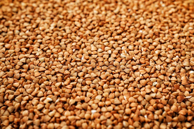 Buckwheat background texture royalty free stock photo Buckwheat background texture royalty free stock photo
