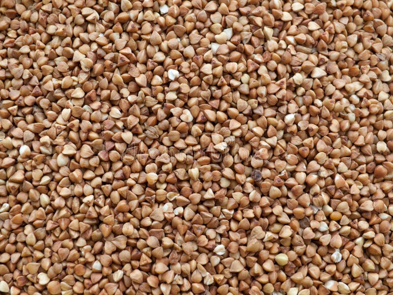 Buckwheat grains stock photo. Image of berry, healthy 10204572