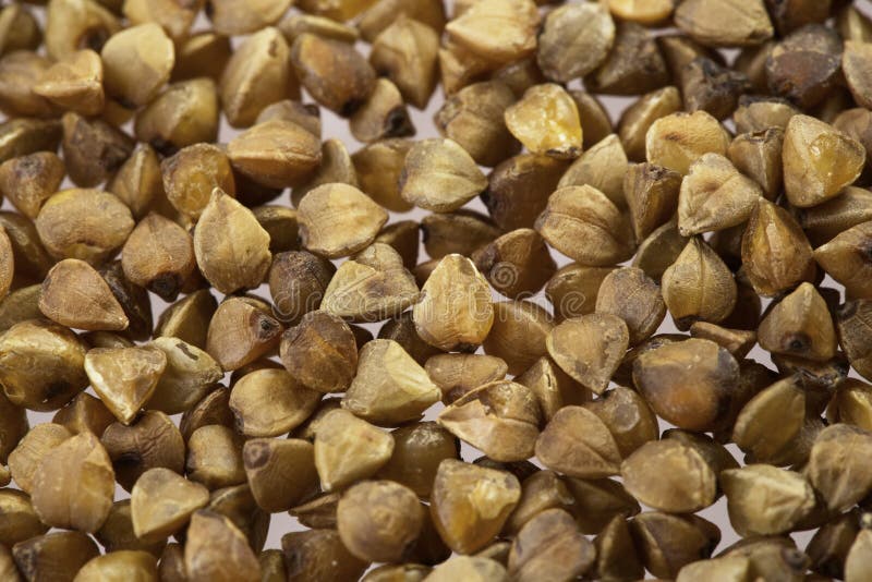 Buckwheat groats stock image. Image of closeup, roasted 29619445