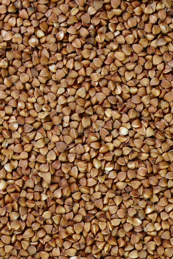 Buckwheat groats closeup. Food background. Background texture of fried buckwheat grains. stock photography Buckwheat groats closeup. Food background. Background texture of fried buckwheat grains. stock photography