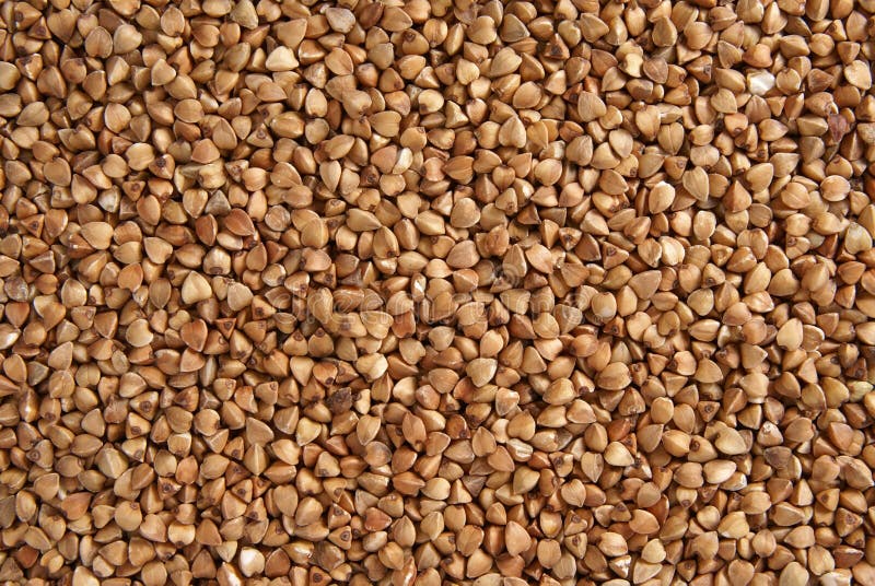 Buckwheat seeds stock image. Image of core, cuisine, food 23745309