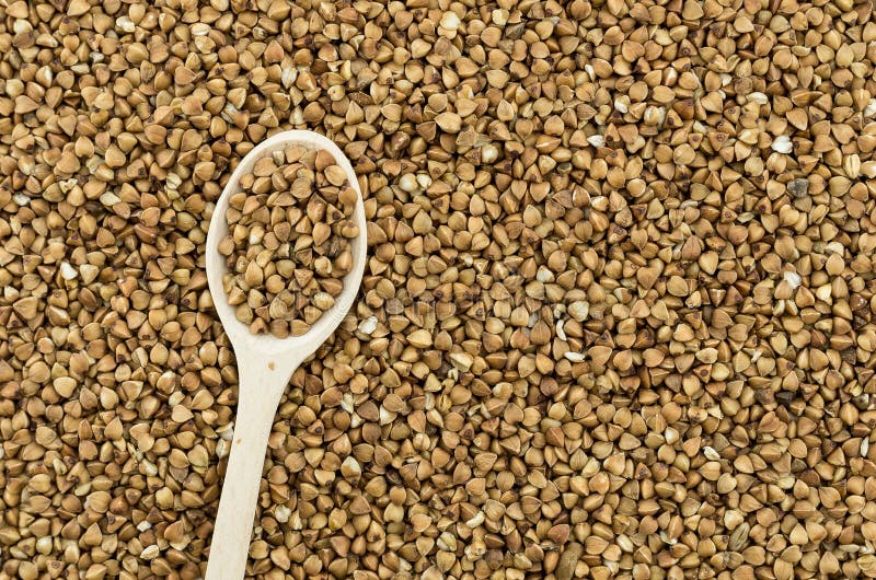 The buckwheat seeds stock image. Image of harvest, feed 63503137