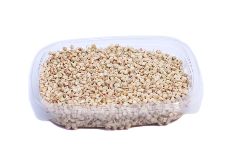 Buckwheat sprouts in box stock photo. Image of heap, eating 95253264