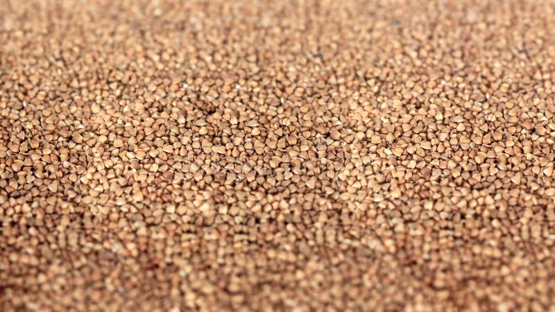 Buckwheat texture. Textures from raw buckwheat grains. Healthy food. Top view. royalty free stock photos Buckwheat texture. Textures from raw buckwheat grains. Healthy food. Top view. royalty free stock photos