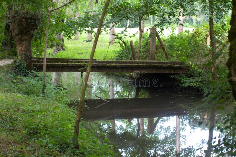 Bucolic wooden bridge and pollarded ash trees reflecting on the French Green Venice marsh, water of the canal. Bucolic wooden bridge and pollarded ash trees reflecting on the French Green Venice marsh, water of the canal