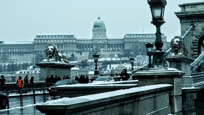 Budapest Chain Bridge royalty-vrije stock afbeelding Budapest Chain Bridge royalty-vrije stock afbeelding