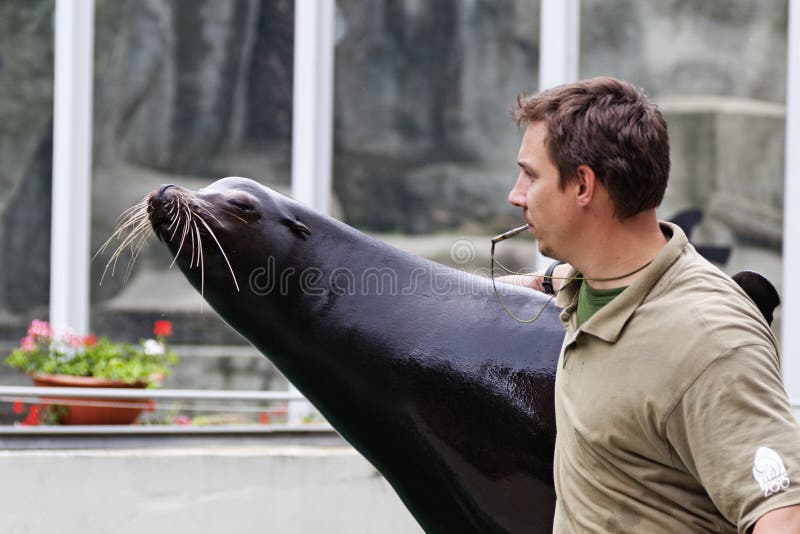 A Seal and His Trainer at the Zoo Editorial Photo Image of beauty