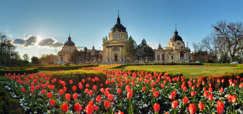 Budapest - panorama de ressort avec la fleur, station thermale de Szechenyi, Hongrie