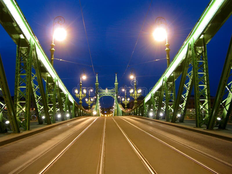 Budapest, Ungheria, ponte di libertà, scena di notte fotografia stock libera da diritti Budapest, Ungheria, ponte di libertà, scena di notte fotografia stock libera da diritti