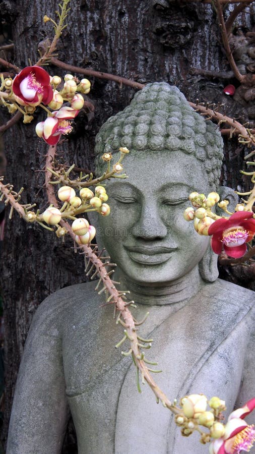  Buddha  With Blooming Flowers  In Front Of Tree Stock Photo 