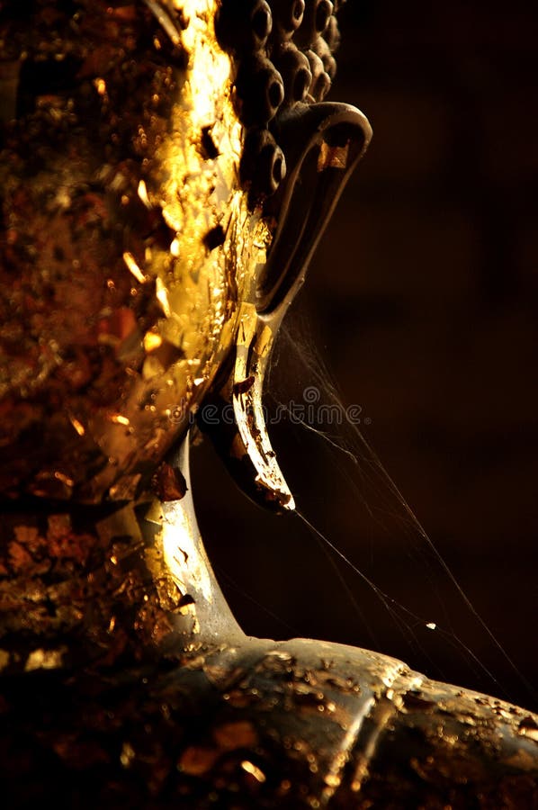 Buddha ears stock image. Image of pray, peaceful, asian 60299953