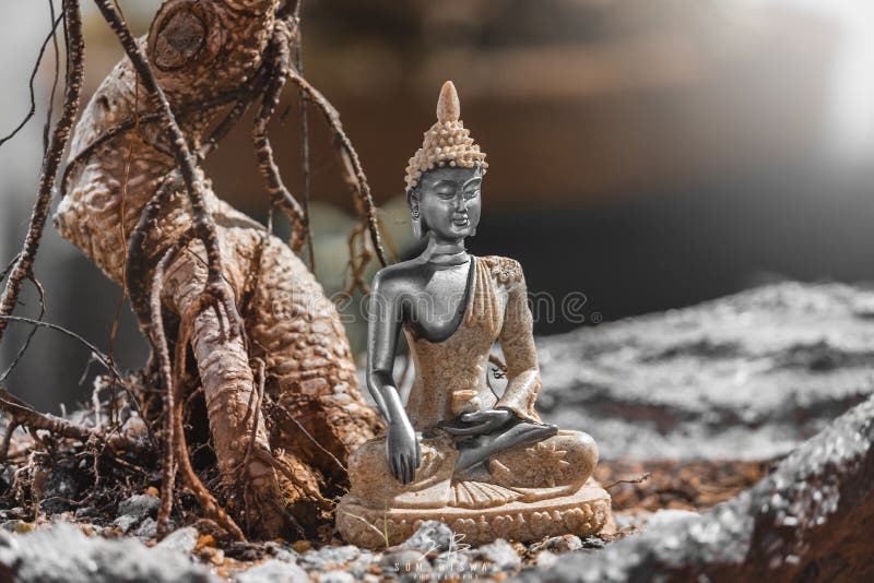 Buddha: En prins, en krigare, en meditator och en slutligen upplyst lärare arkivfoto Buddha: En prins, en krigare, en meditator och en slutligen upplyst lärare arkivfoto