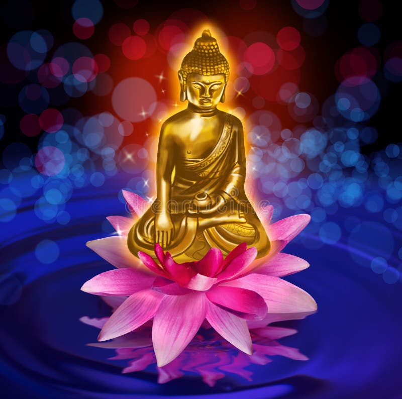 Buddha Figure with Lotus Flowers on Water Stock Image - Image of ...