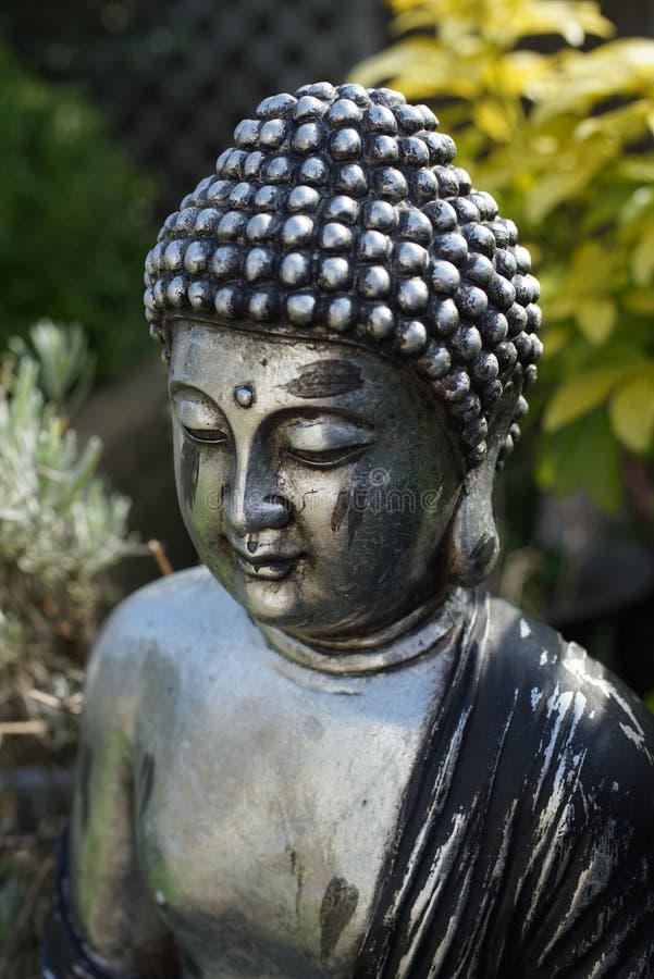 BuddhaKopf im Garten stockfoto. Bild von tropisch, garten