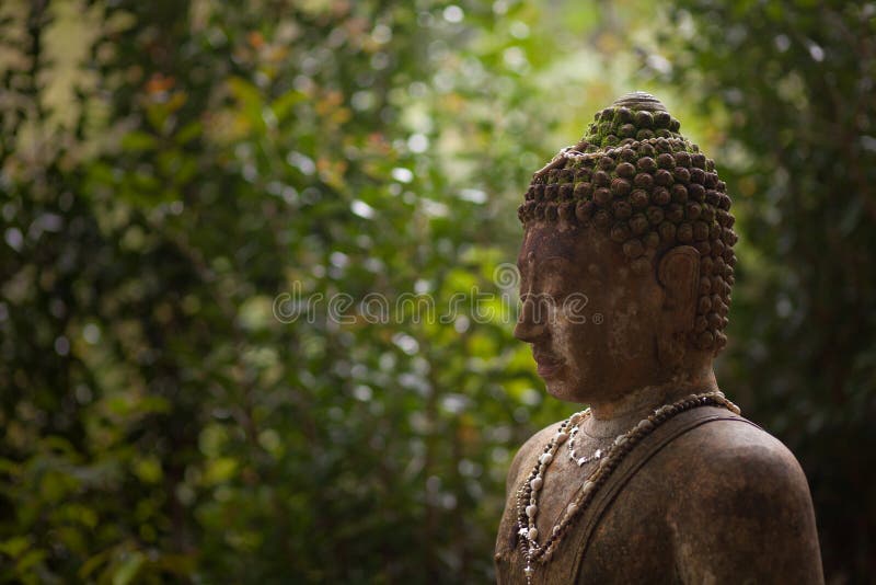 Buddha Left Side Frame Rt