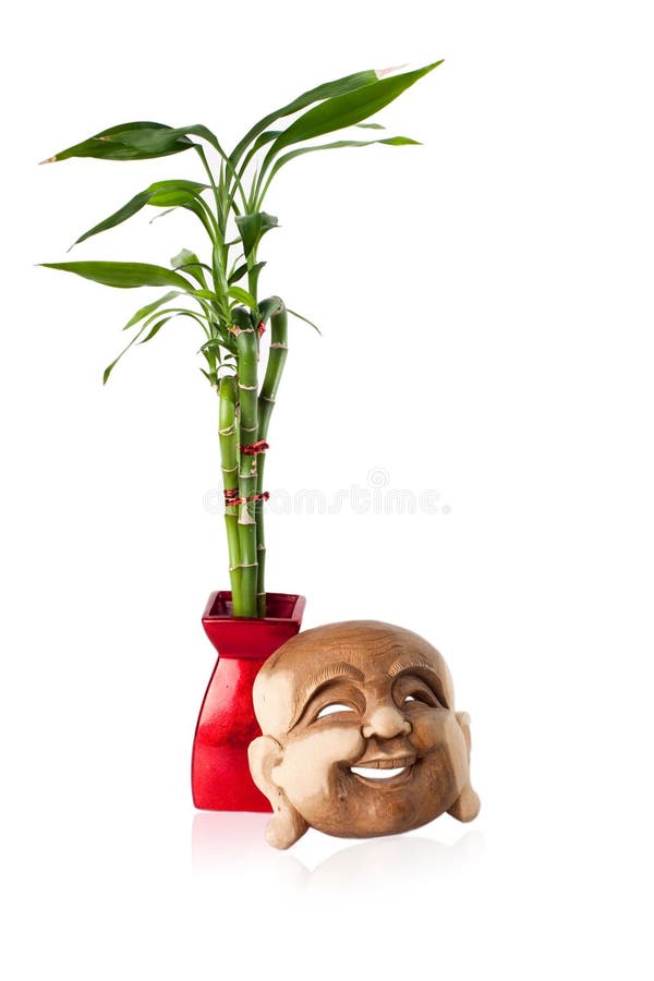 Buddha mask and Lucky bamboo stock photos