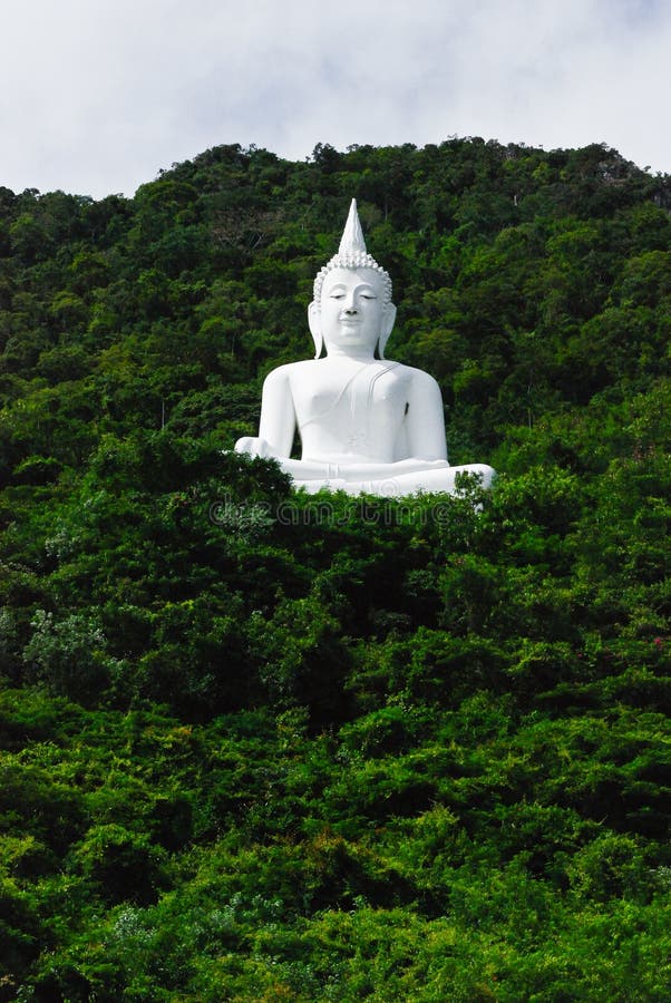 Buddha on the mountain