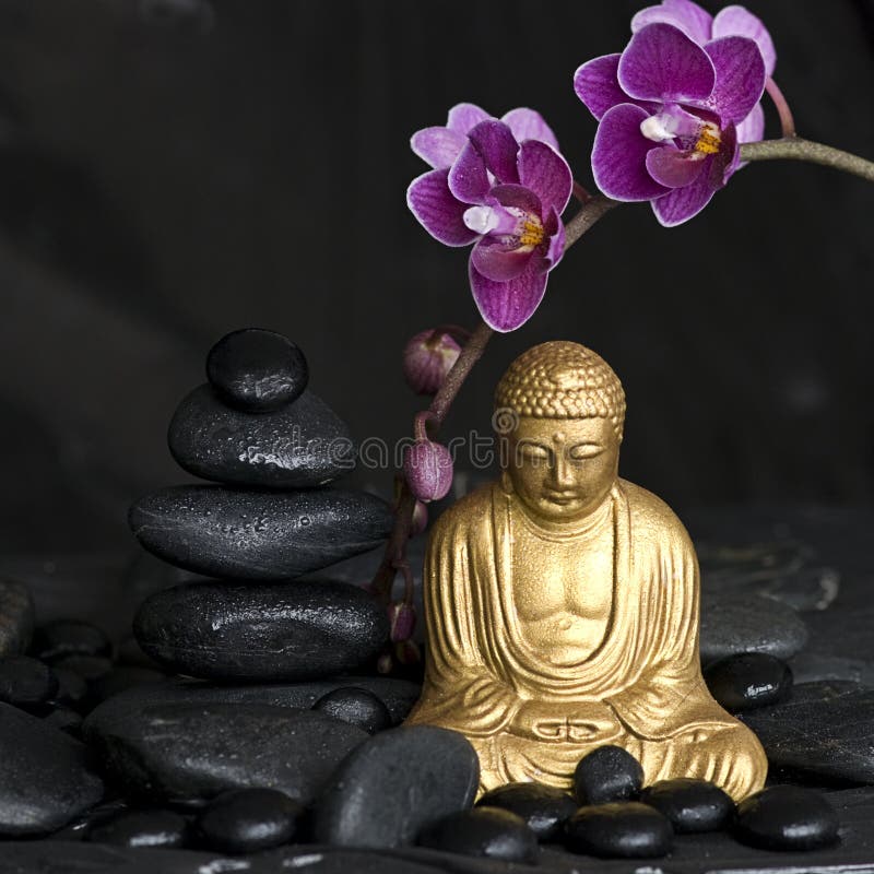 Buddha with Orchid stock photo. Image of floral, pebble - 10560234