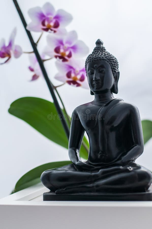 Buddha and Orchid stock image. Image of chinese, black - 117701683