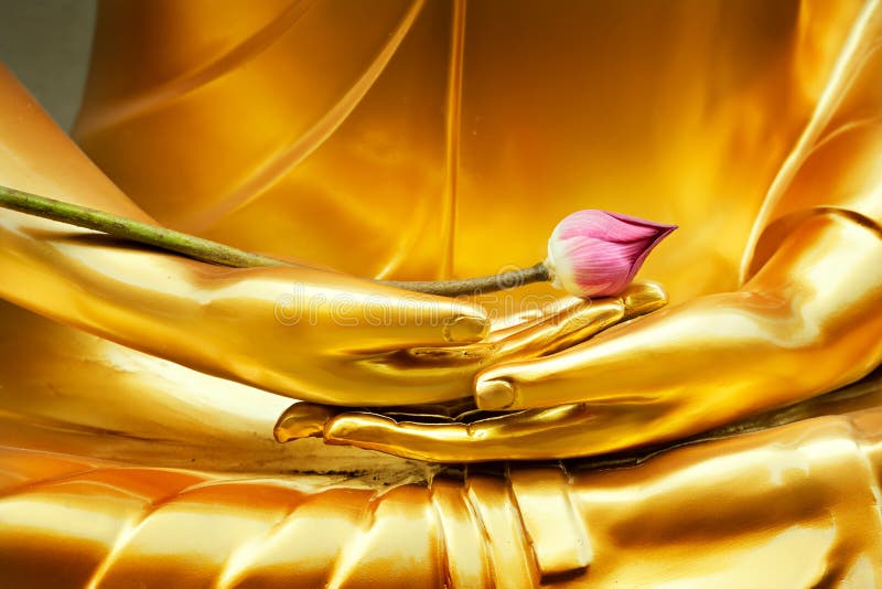Buddha ręki lotos zdjęcia stock