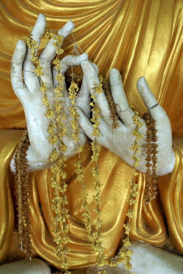 Buddha's hand stock photos
