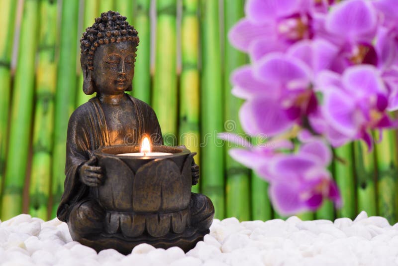 Buddha sta sedendosi nel giardino di ZEN immagine stock Buddha sta sedendosi nel giardino di ZEN immagine stock