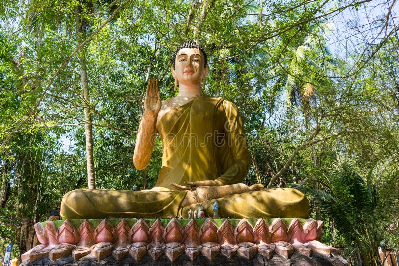 Buddha statue in the forest