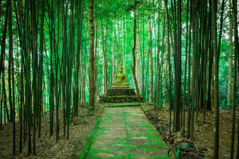 Buddha statue in forest.