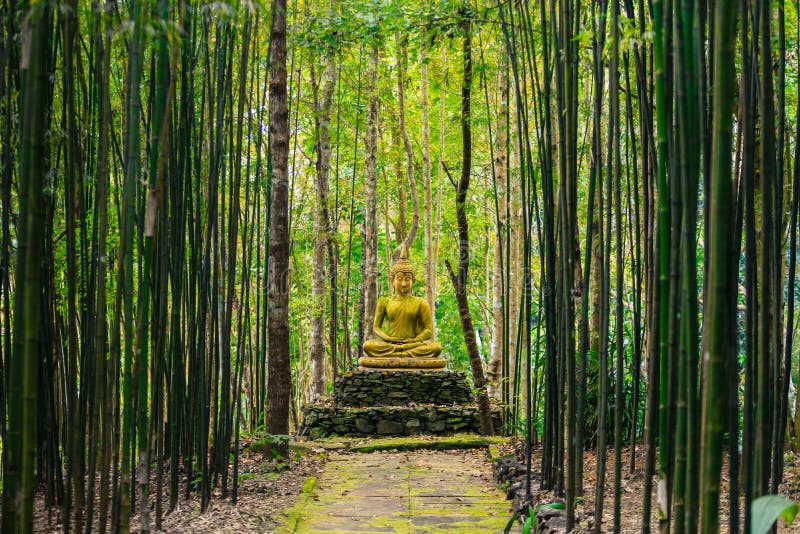 Buddha statue in forest.