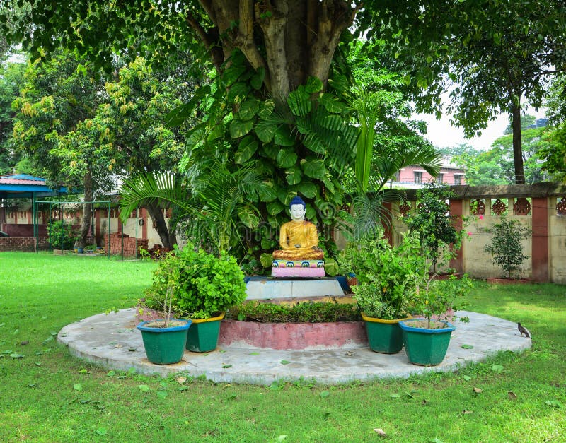 A Buddha Statue At The Garden In Bodhgaya, India Stock Photo Image of