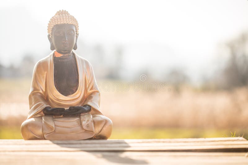 Buddha statue in India: Relaxation, balance and spirituality