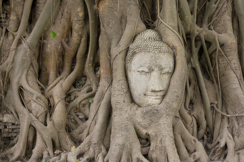Buddhism antyczna głowa