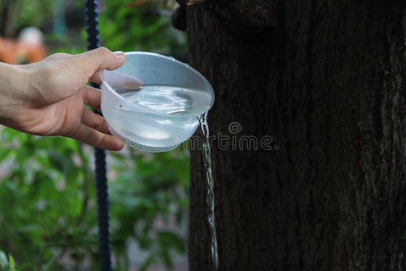 Buddhisten machen den Verdienst und gießen Wasser von der Flasche in die Schale, nach einer guten Tat und teilen den Reichtum zum stockfoto Buddhisten machen den Verdienst und gießen Wasser von der Flasche in die Schale, nach einer guten Tat und teilen den Reichtum zum stockfoto
