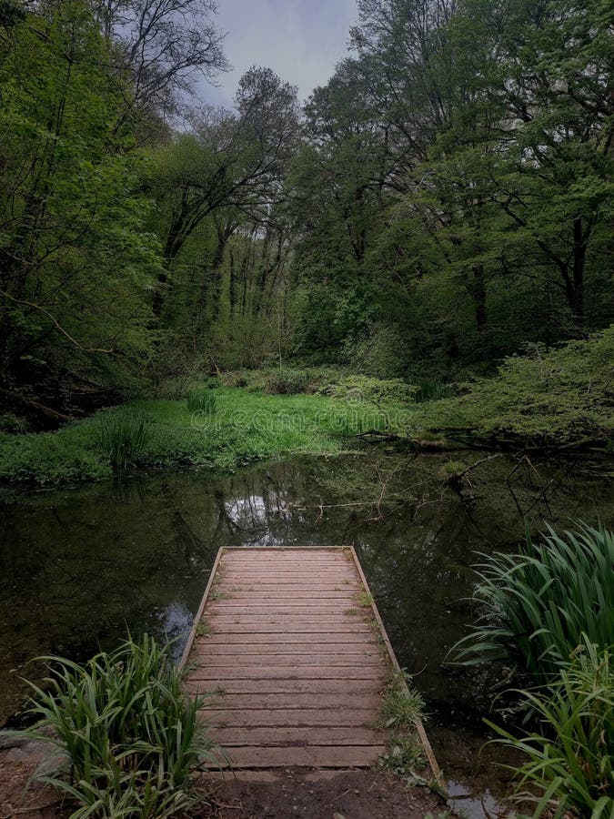 Much of Budshead Woods is classed as being ancient, meaning the trees have been recoreded to be growing here since at least 1600, which is more than 400 years ago. The site provides a valuable landscape and biodiversity resource for the area and contains a number of habitats including woodland, a stream, a pond and a tidal creek.Spring time is agreat time to spot woodland flowers such a lesser celandinem bluebells, primroses and wild garlic. Whilst exploring the woods you may hear the sound of a woodpecker pecking at the old trees or the sounds of buzzards soaring overhead. Much of Budshead Woods is classed as being ancient, meaning the trees have been recoreded to be growing here since at least 1600, which is more than 400 years ago. The site provides a valuable landscape and biodiversity resource for the area and contains a number of habitats including woodland, a stream, a pond and a tidal creek.Spring time is agreat time to spot woodland flowers such a lesser celandinem bluebells, primroses and wild garlic. Whilst exploring the woods you may hear the sound of a woodpecker pecking at the old trees or the sounds of buzzards soaring overhead.