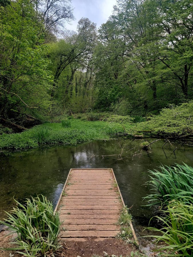 Much of Budshead Woods is classed as being ancient, meaning the trees have been recoreded to be growing here since at least 1600, which is more than 400 years ago. The site provides a valuable landscape and biodiversity resource for the area and contains a number of habitats including woodland, a stream, a pond and a tidal creek.Spring time is agreat time to spot woodland flowers such a lesser celandinem bluebells, primroses and wild garlic. Whilst exploring the woods you may hear the sound of a woodpecker pecking at the old trees or the sounds of buzzards soaring overhead. Much of Budshead Woods is classed as being ancient, meaning the trees have been recoreded to be growing here since at least 1600, which is more than 400 years ago. The site provides a valuable landscape and biodiversity resource for the area and contains a number of habitats including woodland, a stream, a pond and a tidal creek.Spring time is agreat time to spot woodland flowers such a lesser celandinem bluebells, primroses and wild garlic. Whilst exploring the woods you may hear the sound of a woodpecker pecking at the old trees or the sounds of buzzards soaring overhead.